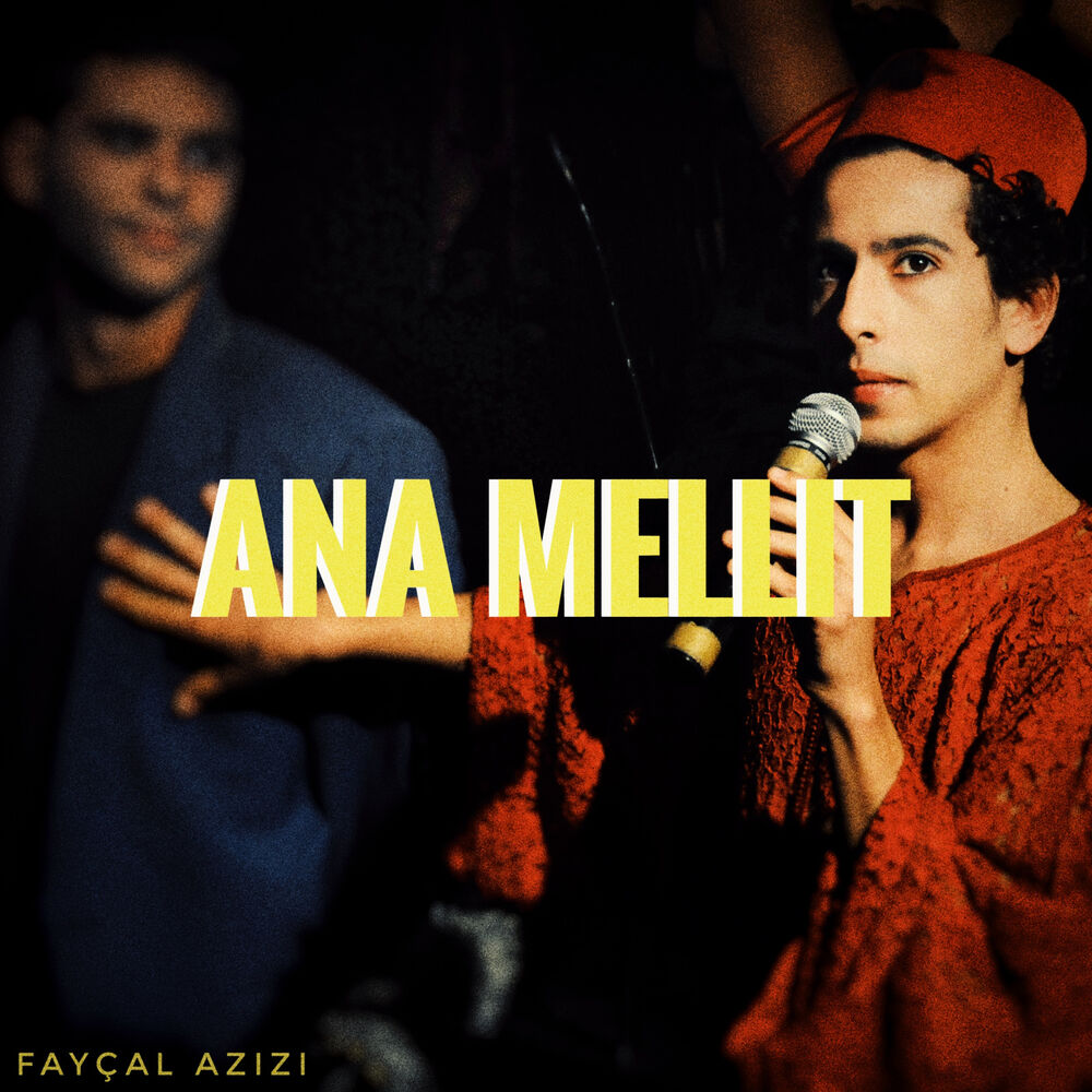 Picture of Ana Mellit