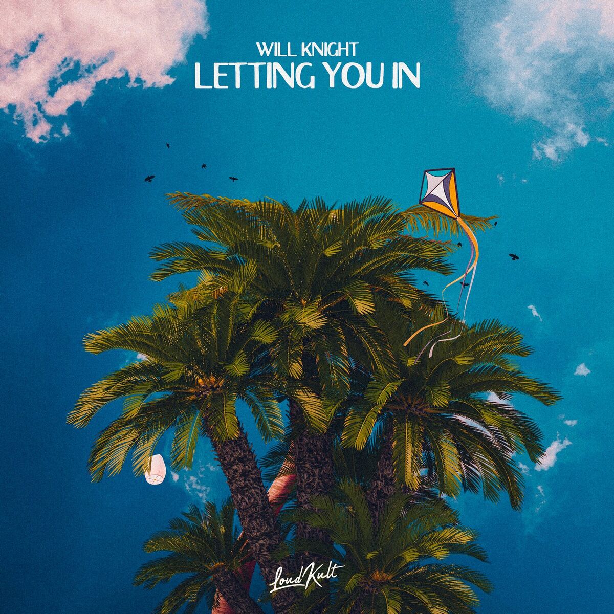 Album cover of Letting You In