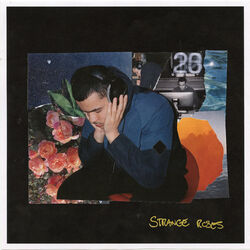 Cover of Strange Roses