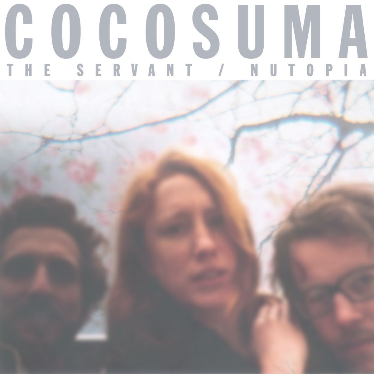Album cover of The Servant / Nutopia