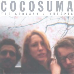 Cover of The Servant / Nutopia