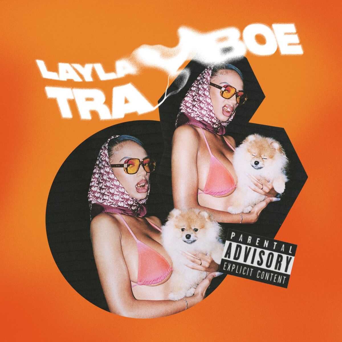 Album cover of Trick Daddy