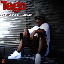 Cover of Pegaito a la Pared - Single