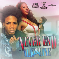 Cover of Never End
