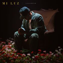 Cover of Mi Luz