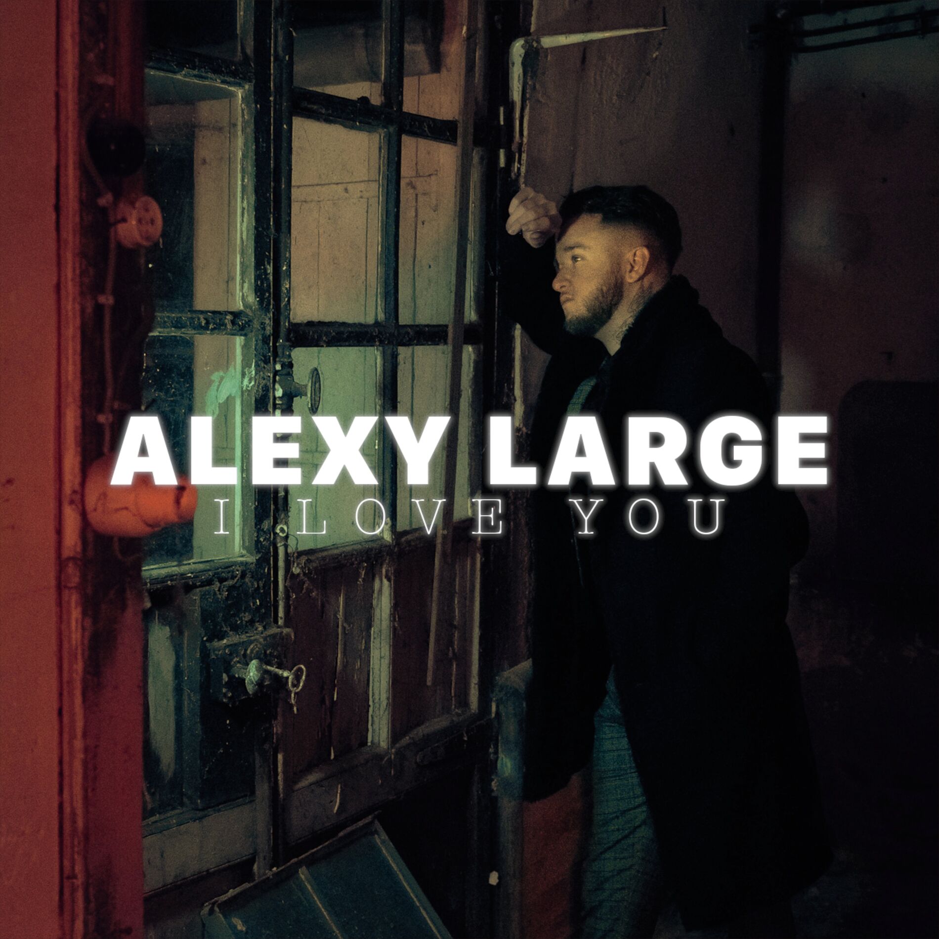 Album cover of I Love You