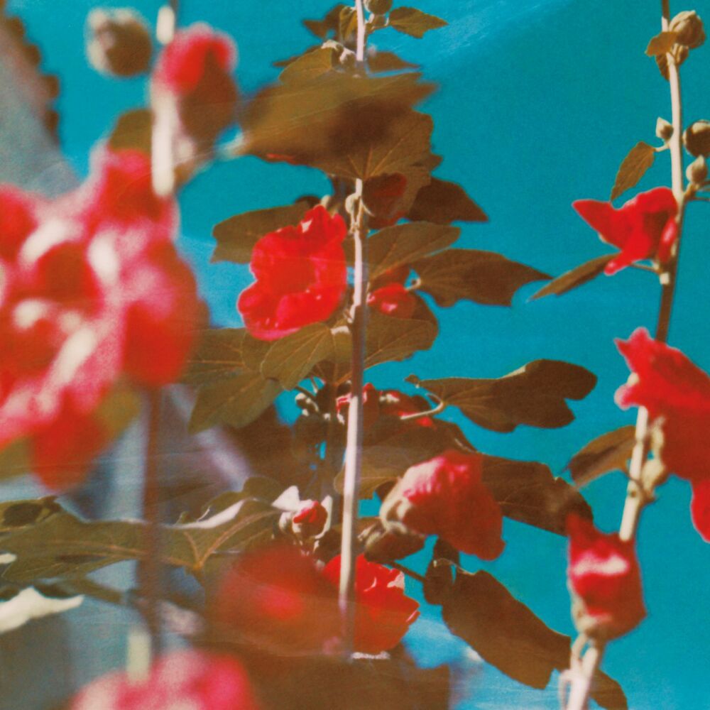 Picture of breathe