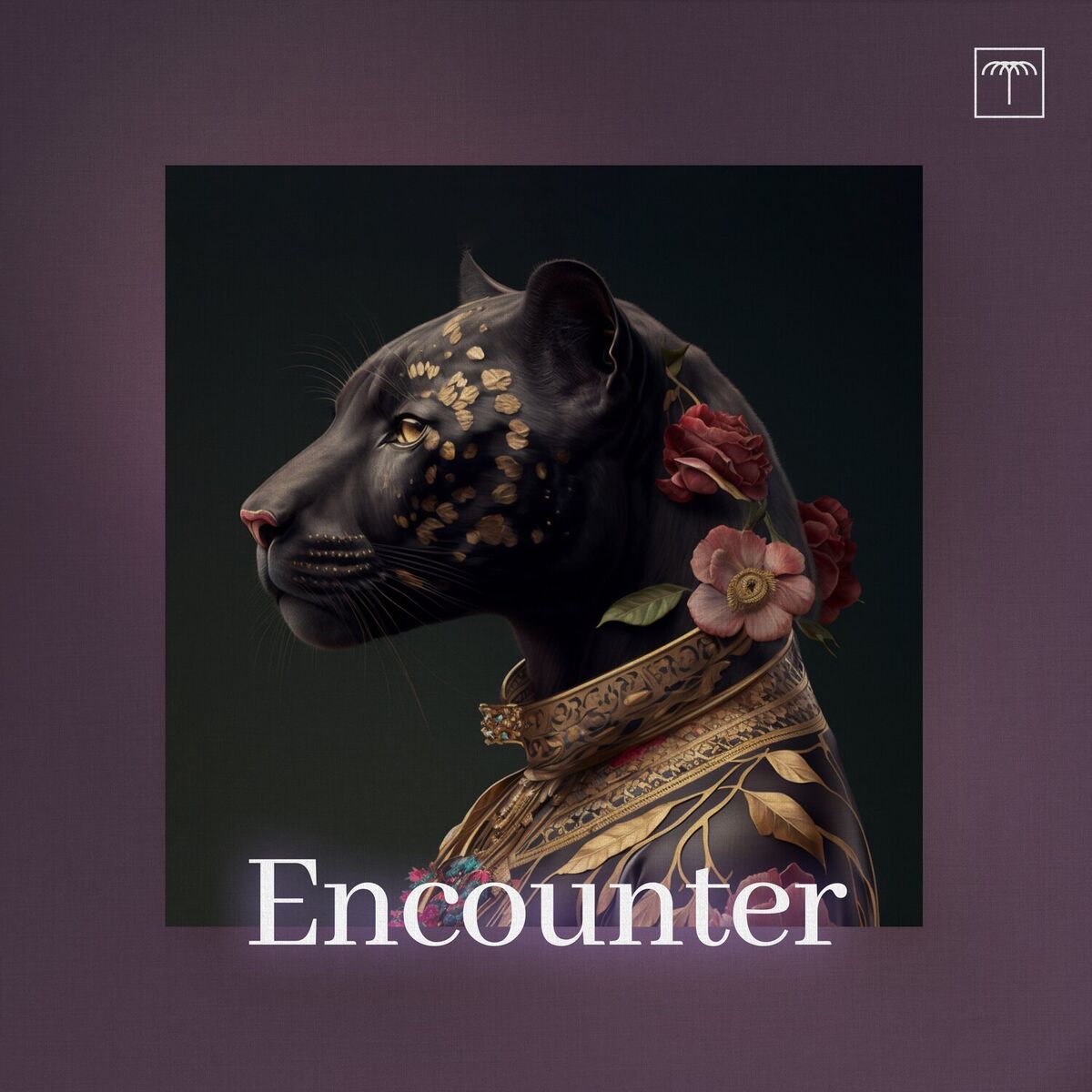 Album cover of Encounter