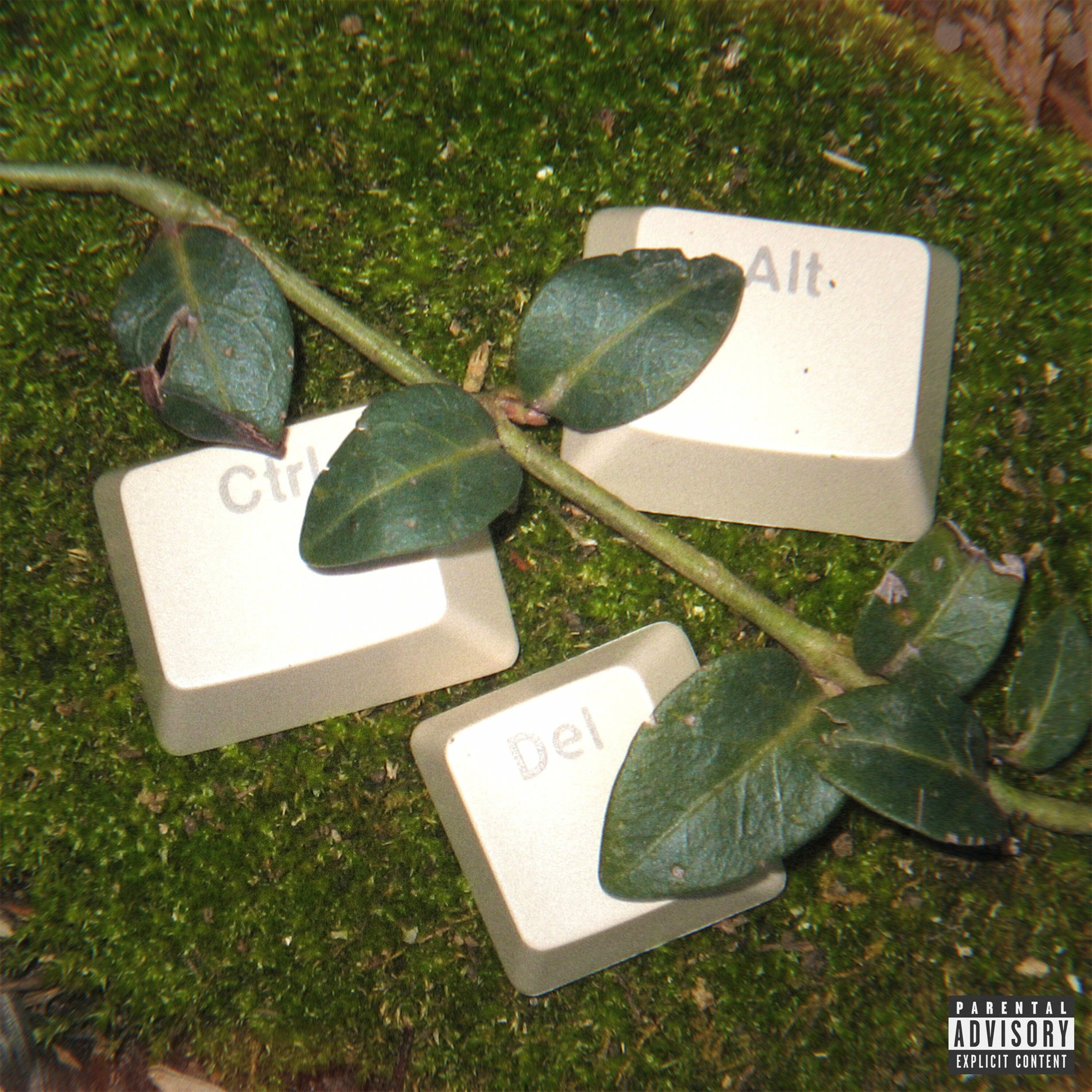 Album cover of Ctrl Alt Delete