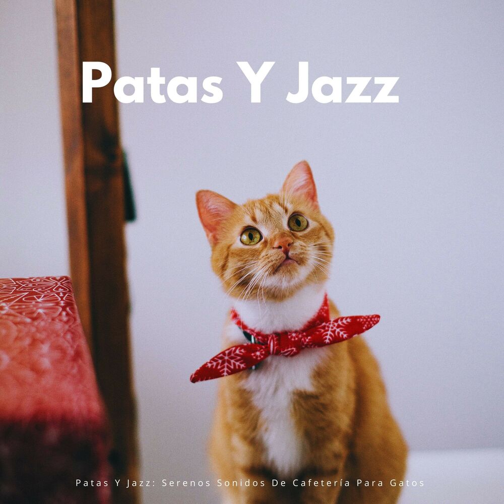 Picture of Patas Y Jazz: Serenos Sonidos De Cafetería Para Gatos