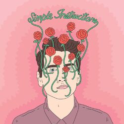 Cover of Simple Instructions
