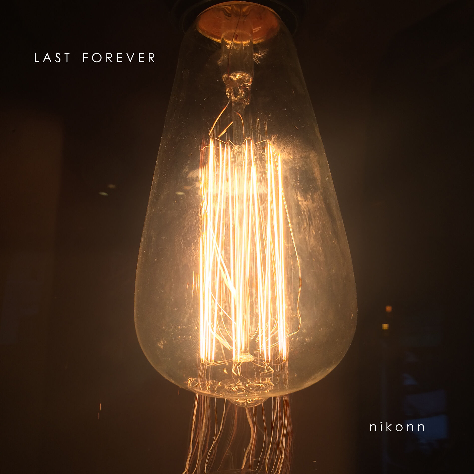 Album cover of Last Forever