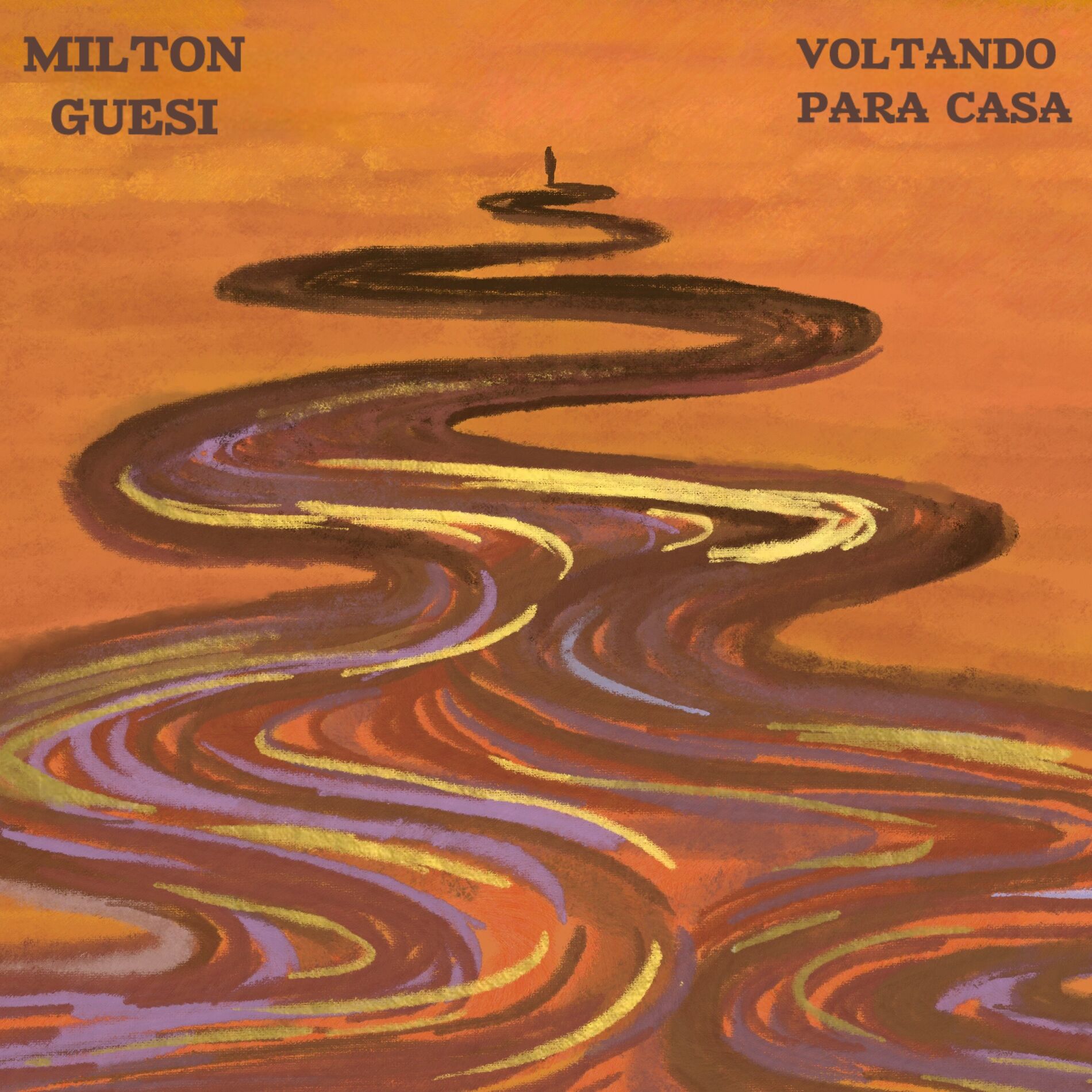 Album cover of Voltando para Casa