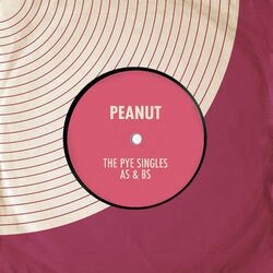 Cover of The Pye Singles As & Bs