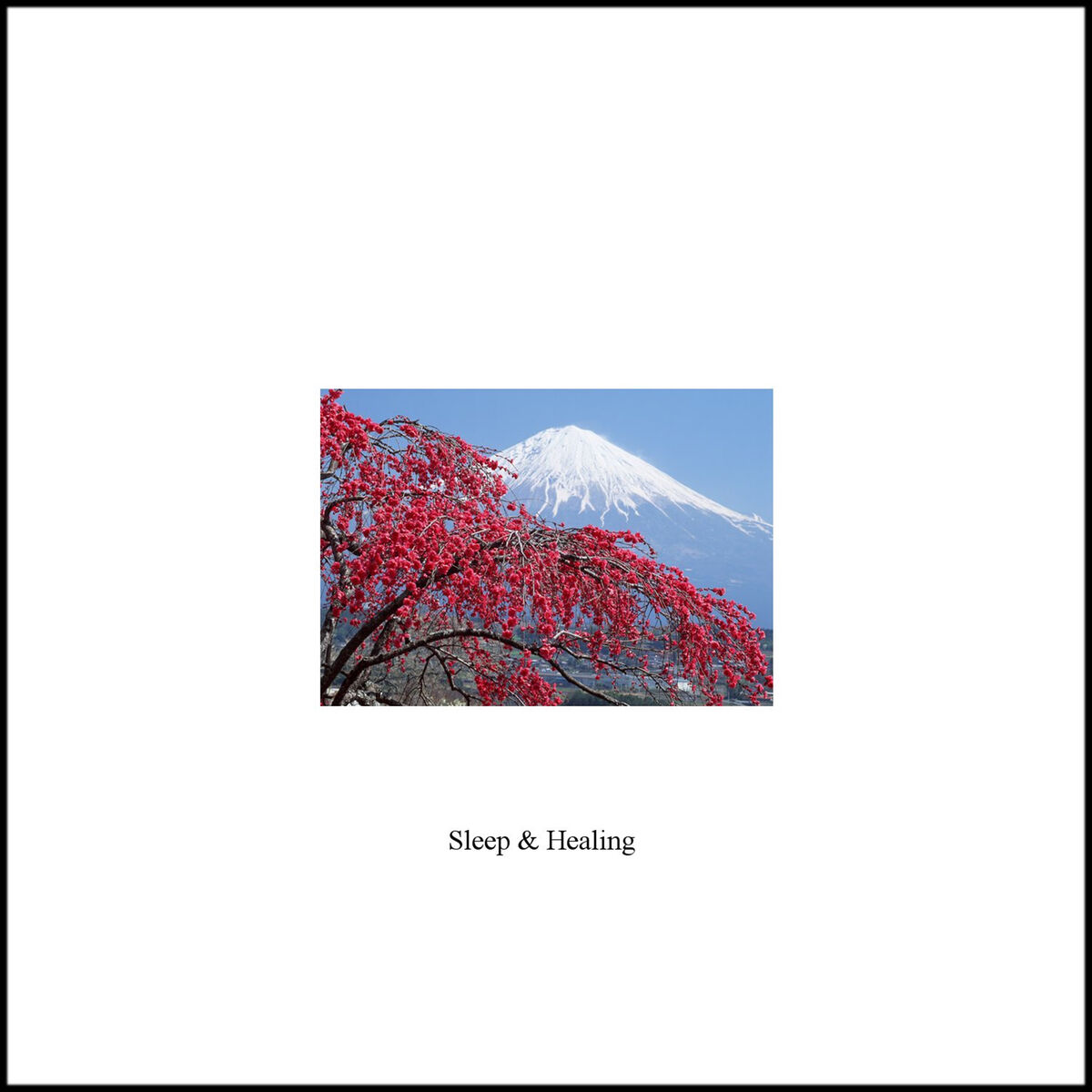 Album cover of Summer and Self pleasure