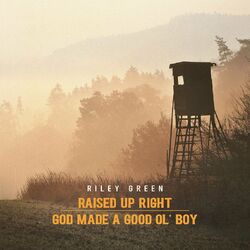 Cover of Raised Up Right