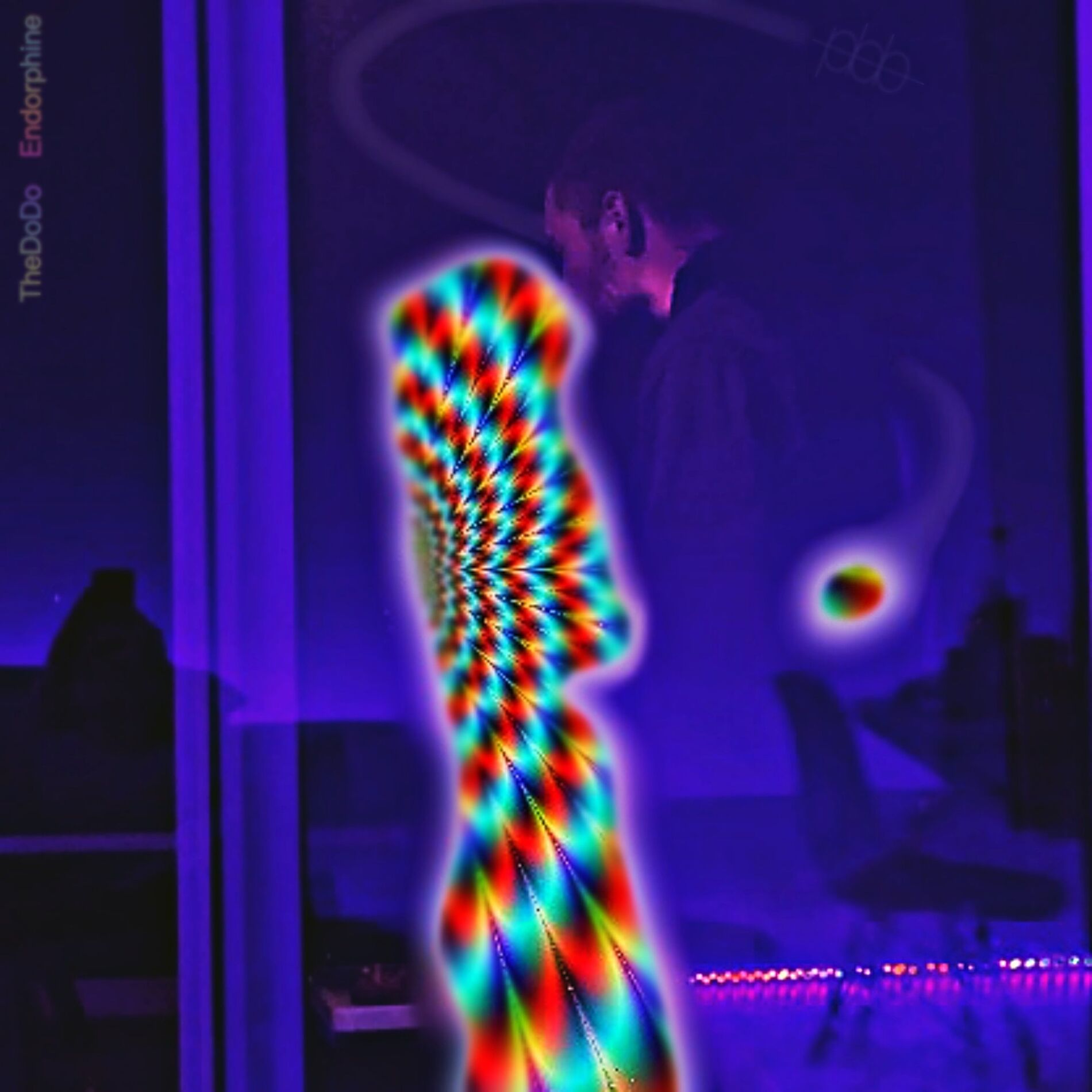 Album cover of Endorphine