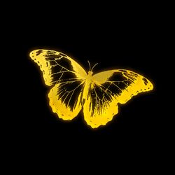 Cover of SHINE (golden hour sample)