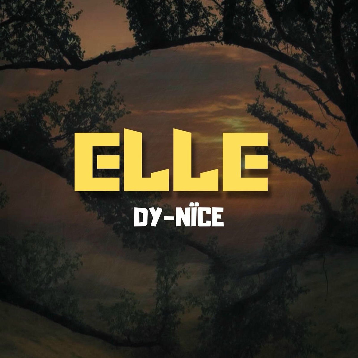 Album cover of Elle