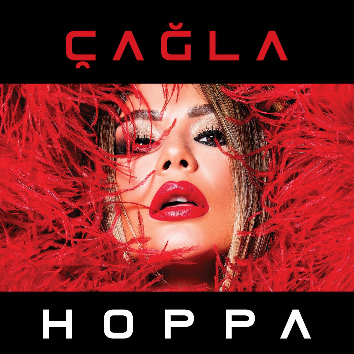Album cover of Hoppa