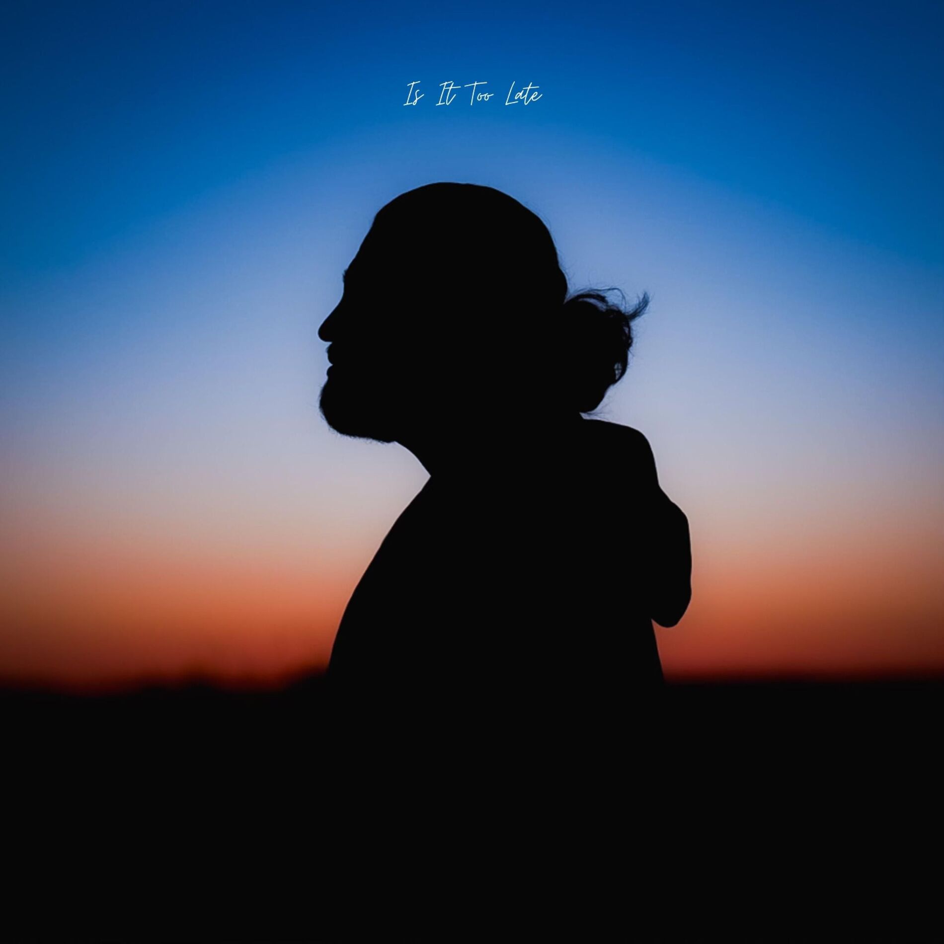 Album cover of Is It Too Late