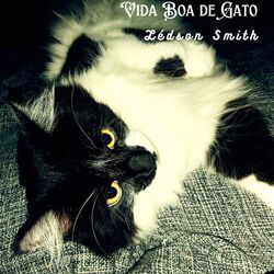 Cover of Vida Boa de Gato