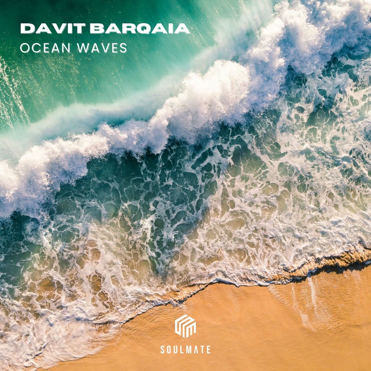 Album cover of Ocean Waves