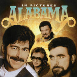 Cover of In Pictures