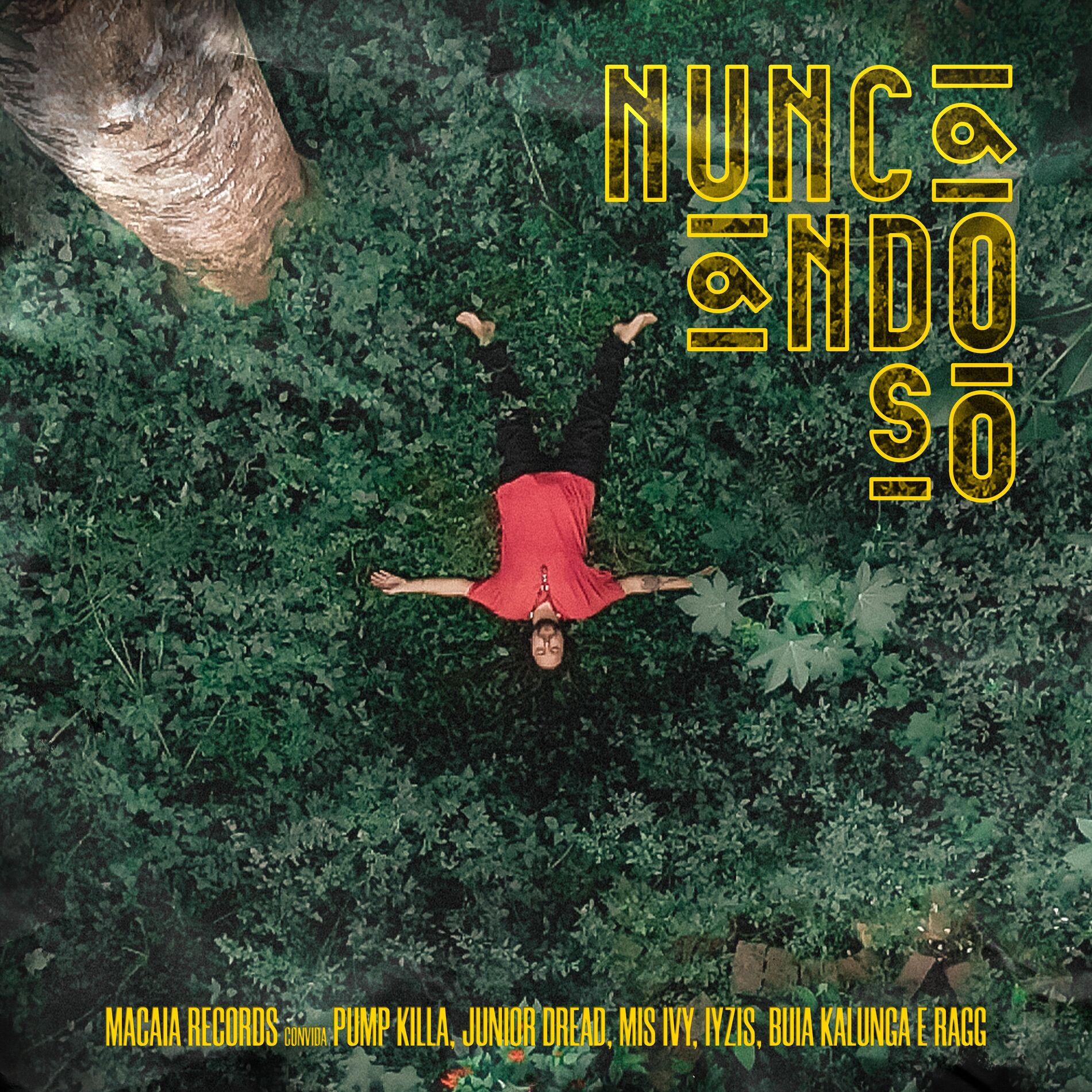 Album cover of Nunca Ando Só