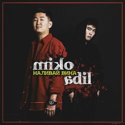 Cover of Nalivay vina