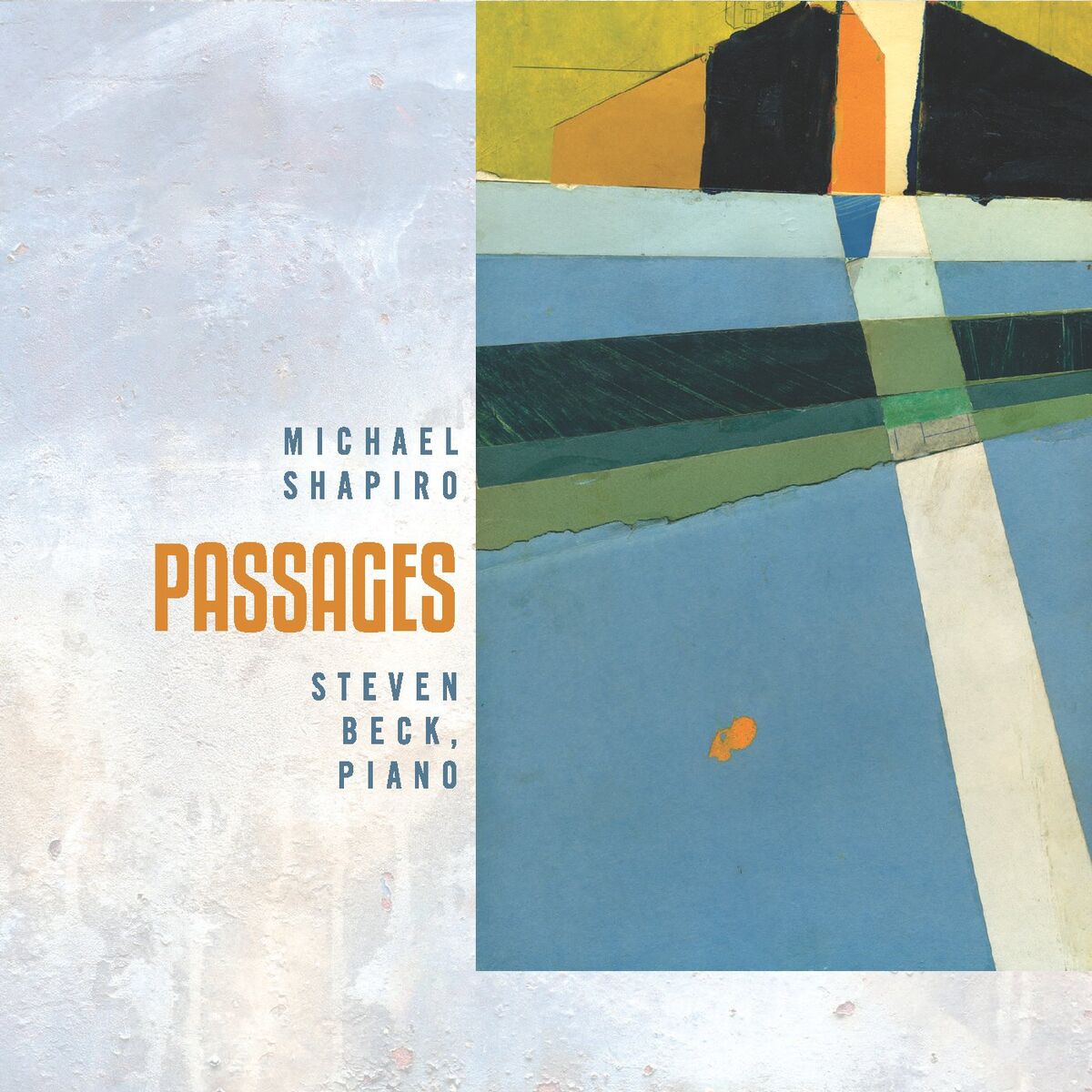 Album cover of Michael Shapiro: Passages