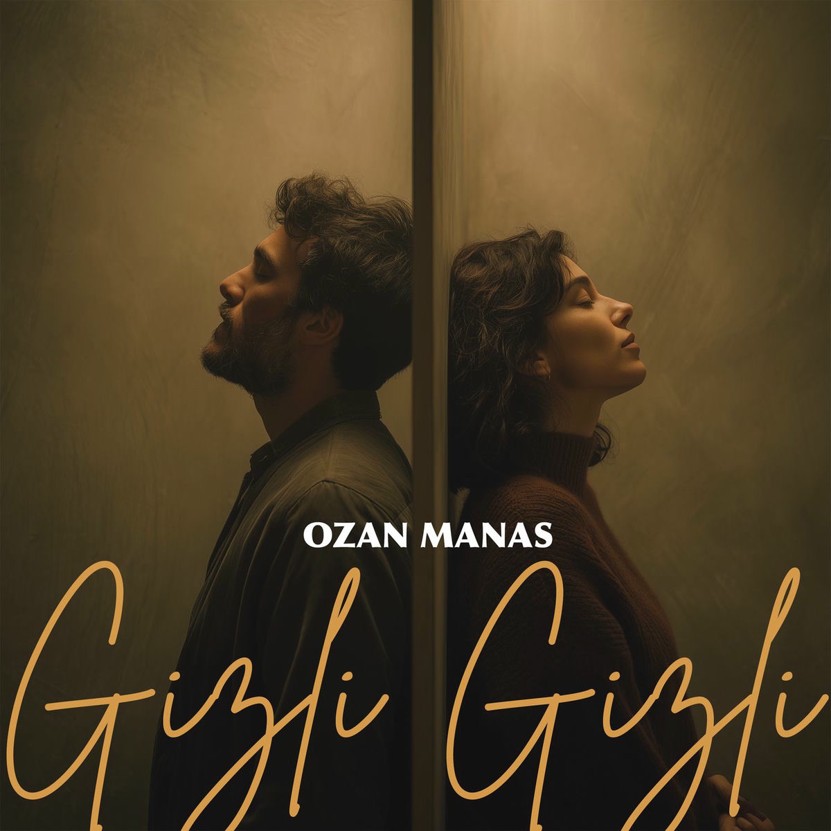 Album cover of Gizli Gizli