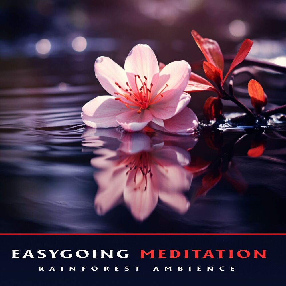 Picture of Easygoing Meditation