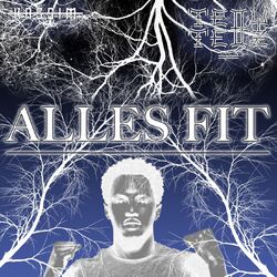 Cover of Alles fit