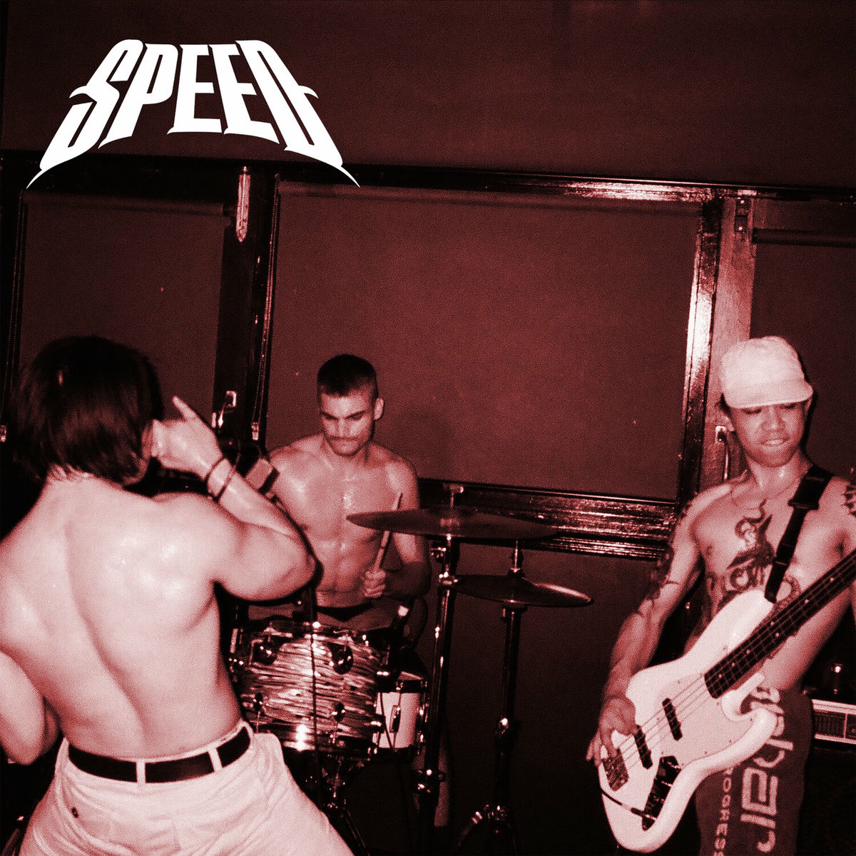 Album cover of A Dumb Dog Gets Flogged