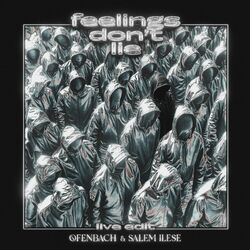 Cover of feelings don't lie (live edit)