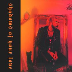 Cover of Shadows Of Your Love