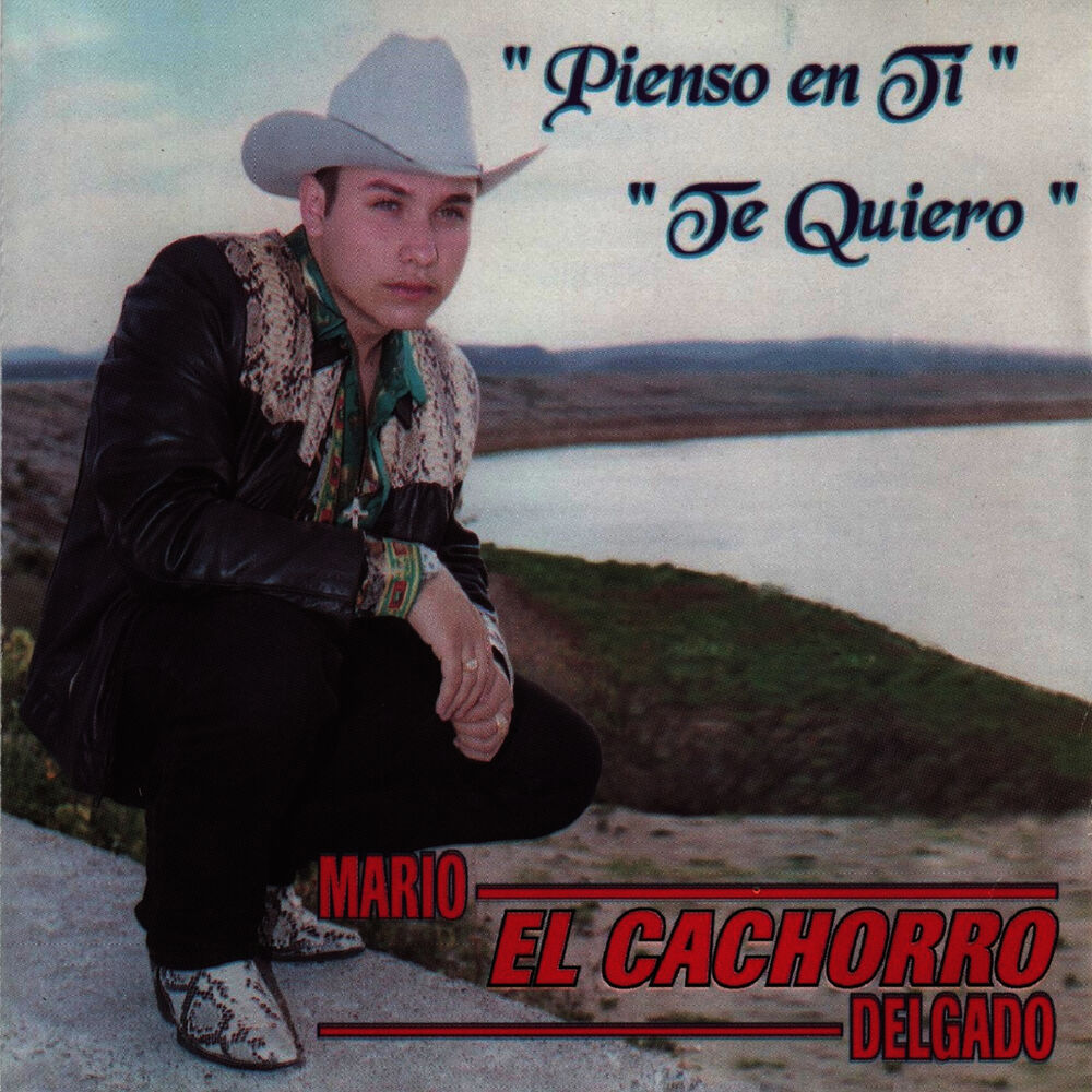 Picture of Pienso en Ti