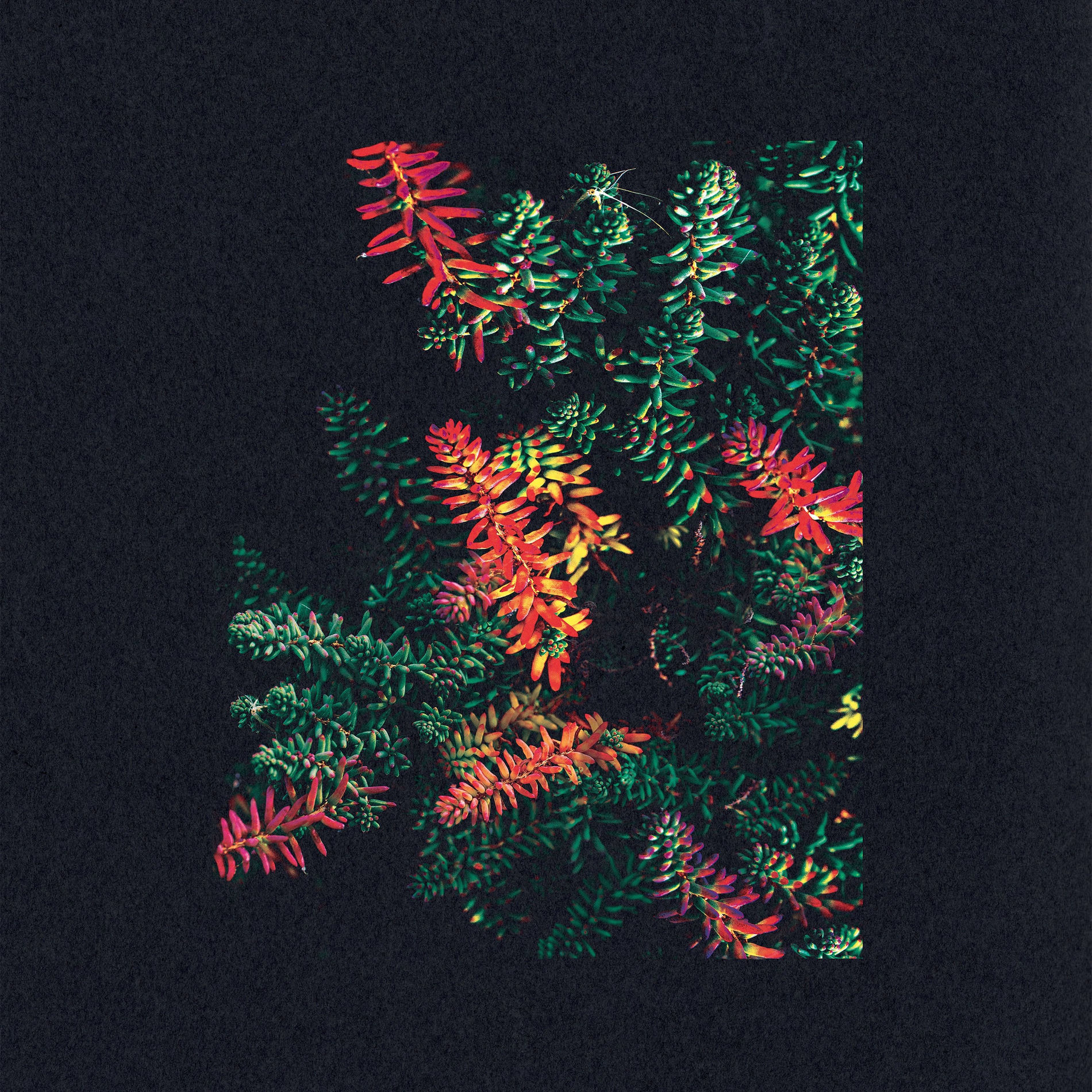 Album cover of Othona