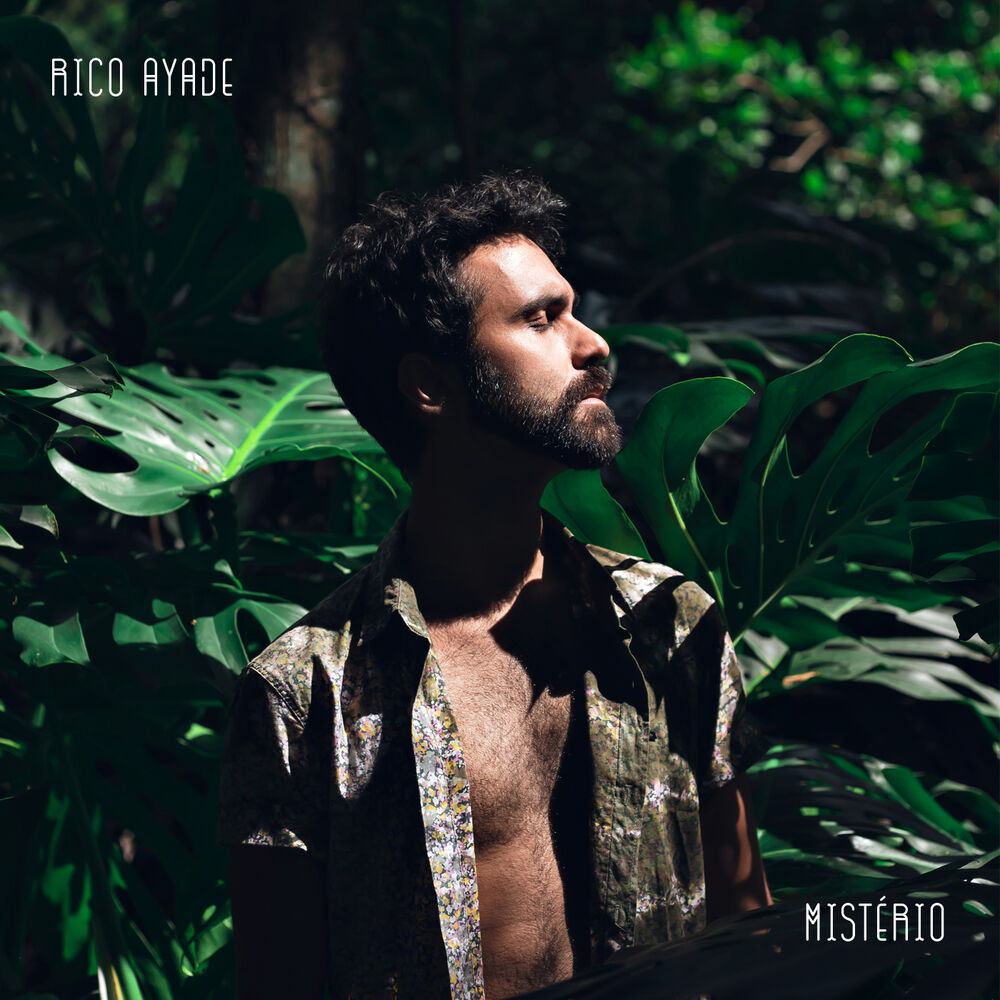Picture of Mistério
