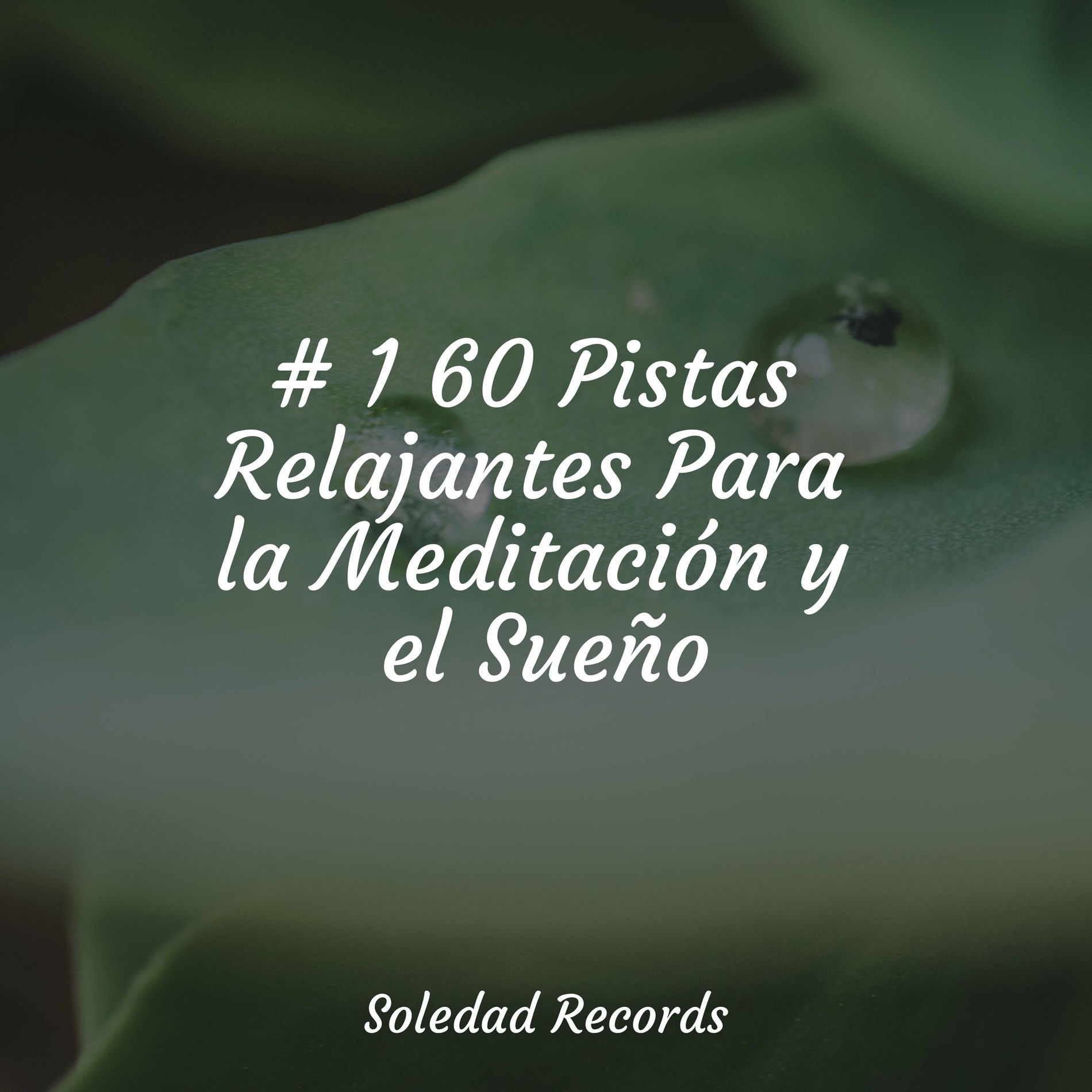 Album cover of # 1 60 Pistas Relajantes Para la Meditación y el Sueño
