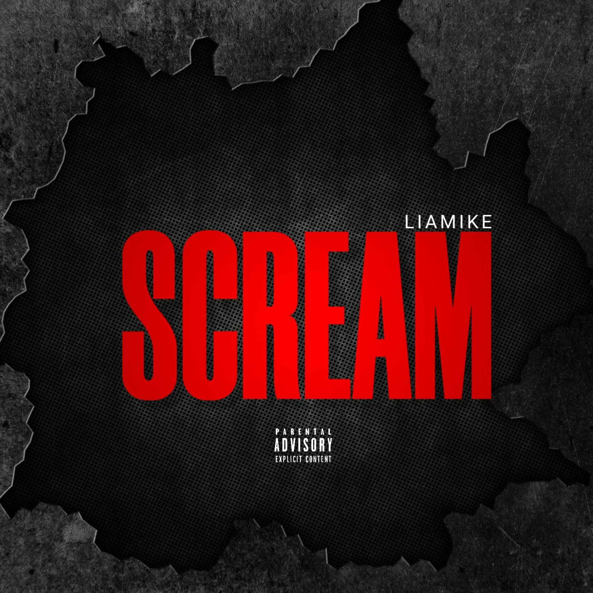Album cover of SCREAM