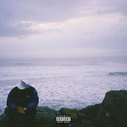 Cover of Early Bird