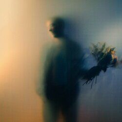 Cover of Bloom