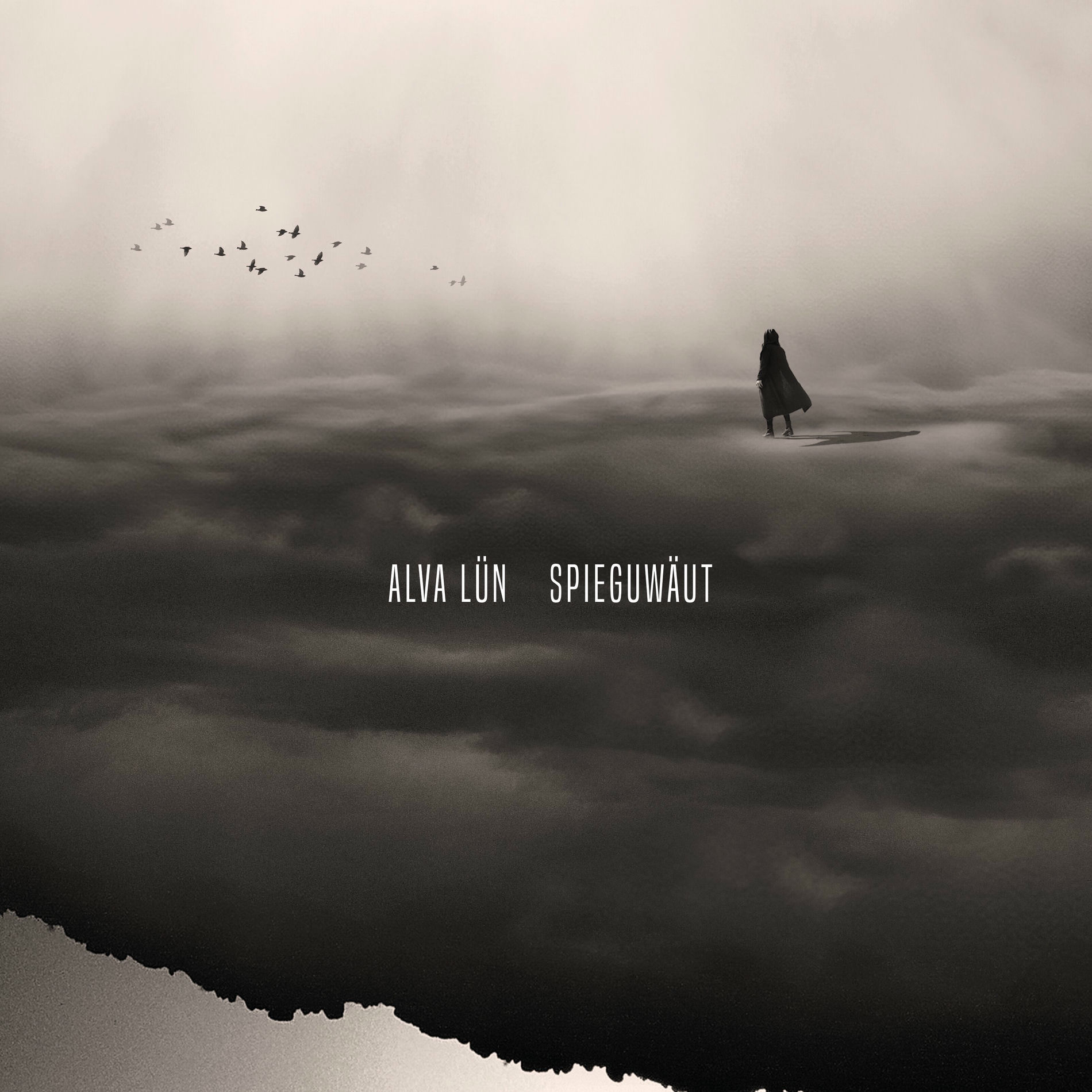 Album cover of Spieguwäut