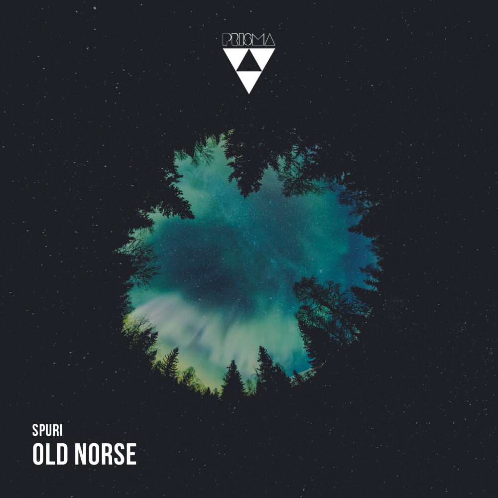 Picture of Old Norse