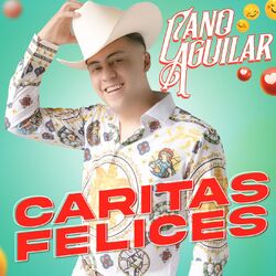 Cover of Caritas Felices
