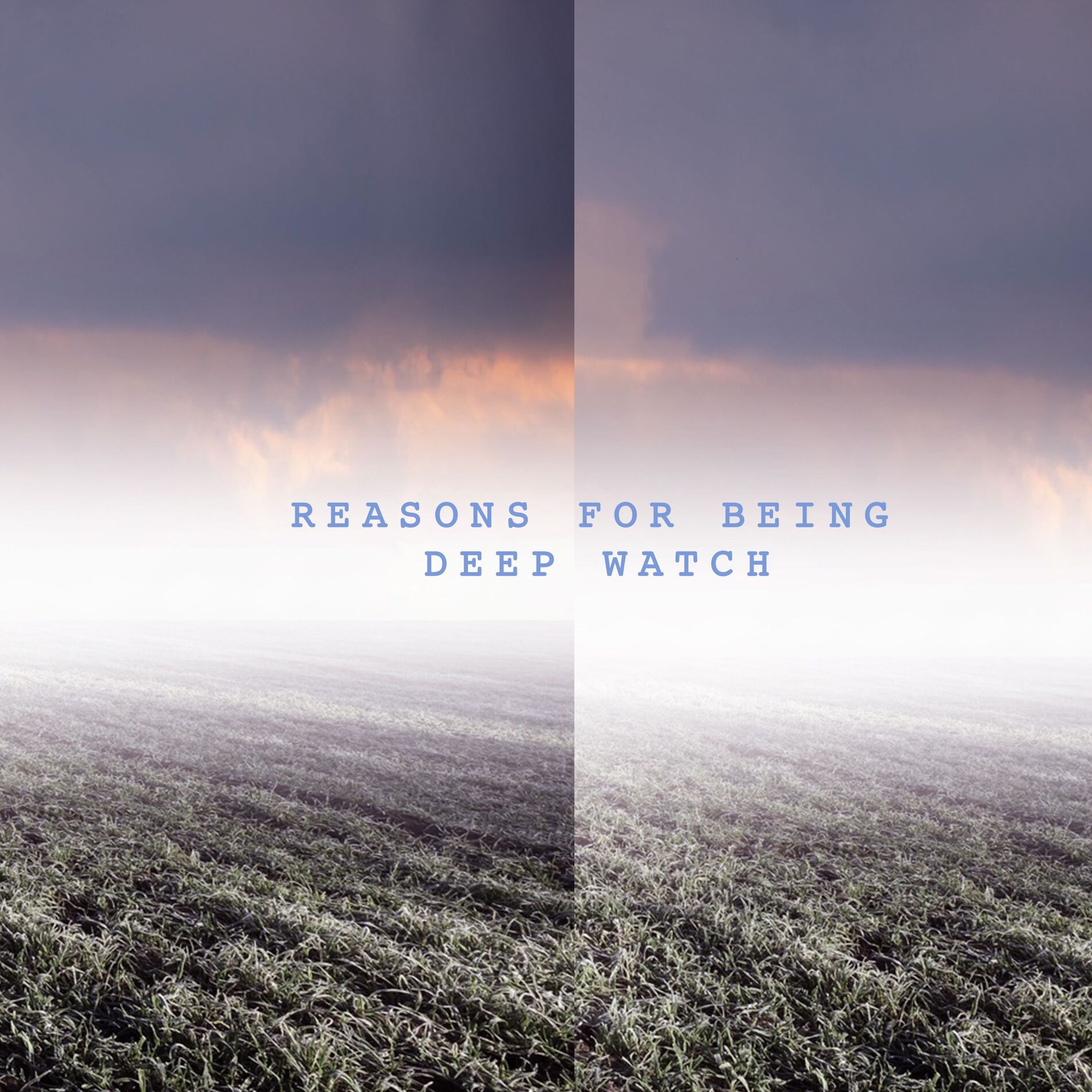 Album cover of Reasons for Being