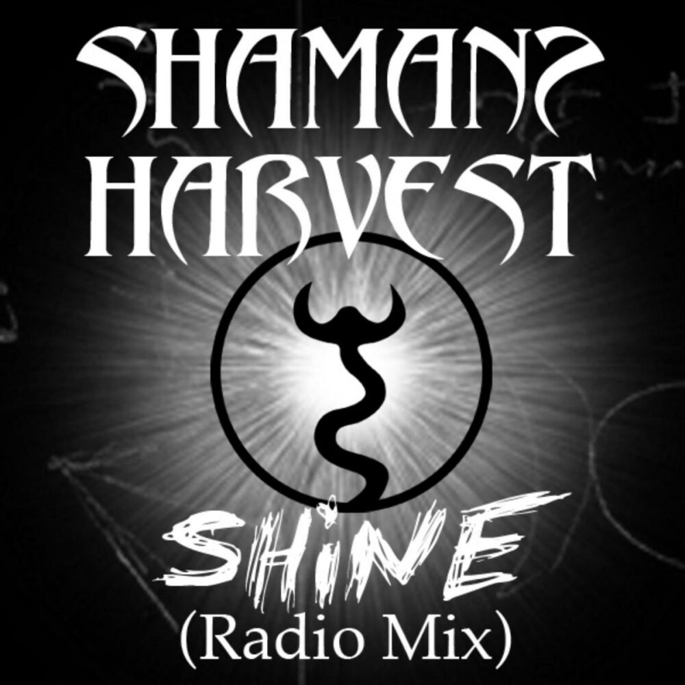 Picture of Shine (Radio Mix)