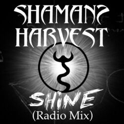 Cover of Shine (Radio Mix)